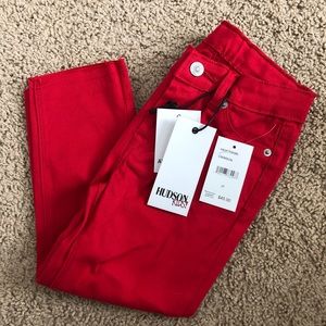 Brand new Hudson pants